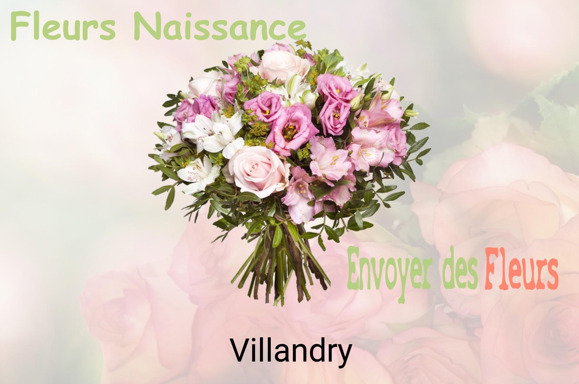 Bouquet de fleurs de naissance livré à Villandry